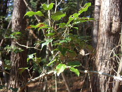 d0024504_2338291.jpg