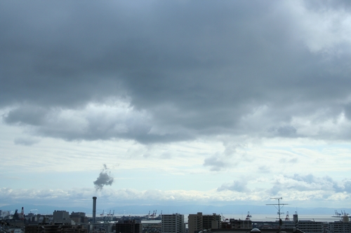 d0131006_2301335.jpg