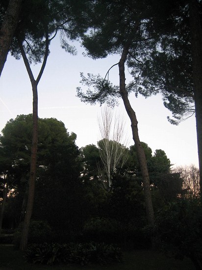 b0064411_446280.jpg