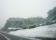 d0042618_0231138.jpg