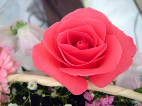 f0147025_9491443.jpg