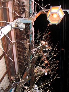 c0157729_0175869.jpg