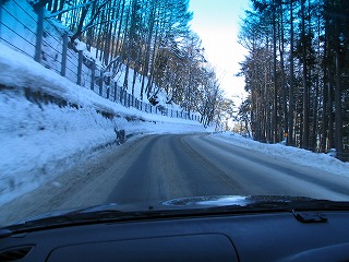 c0157729_2234543.jpg