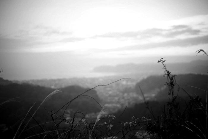c0039630_21283021.jpg