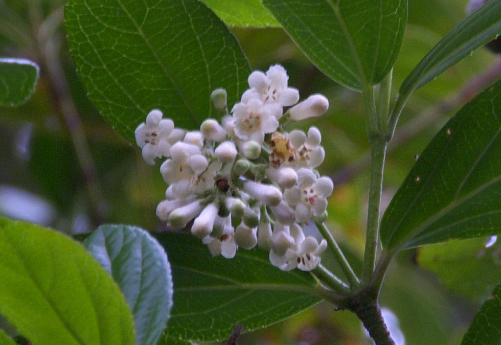 d0053930_185817.jpg