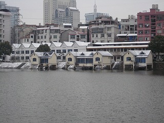 d0127132_21395491.jpg