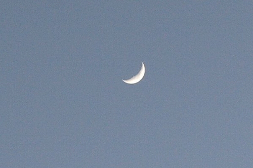 a0017634_23331216.jpg