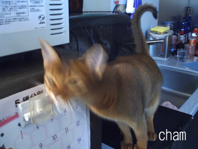 c0132438_7471630.jpg