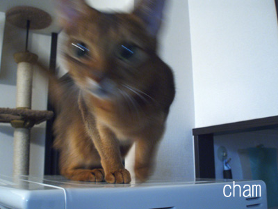 c0132438_747731.jpg