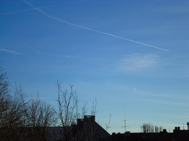 c0153740_2031952.jpg