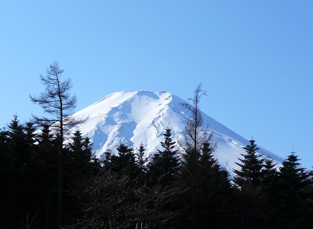 c0057946_17412314.jpg