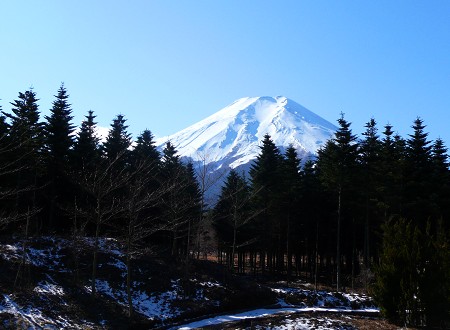 c0057946_17435476.jpg