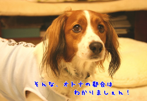 d0013149_0441139.jpg