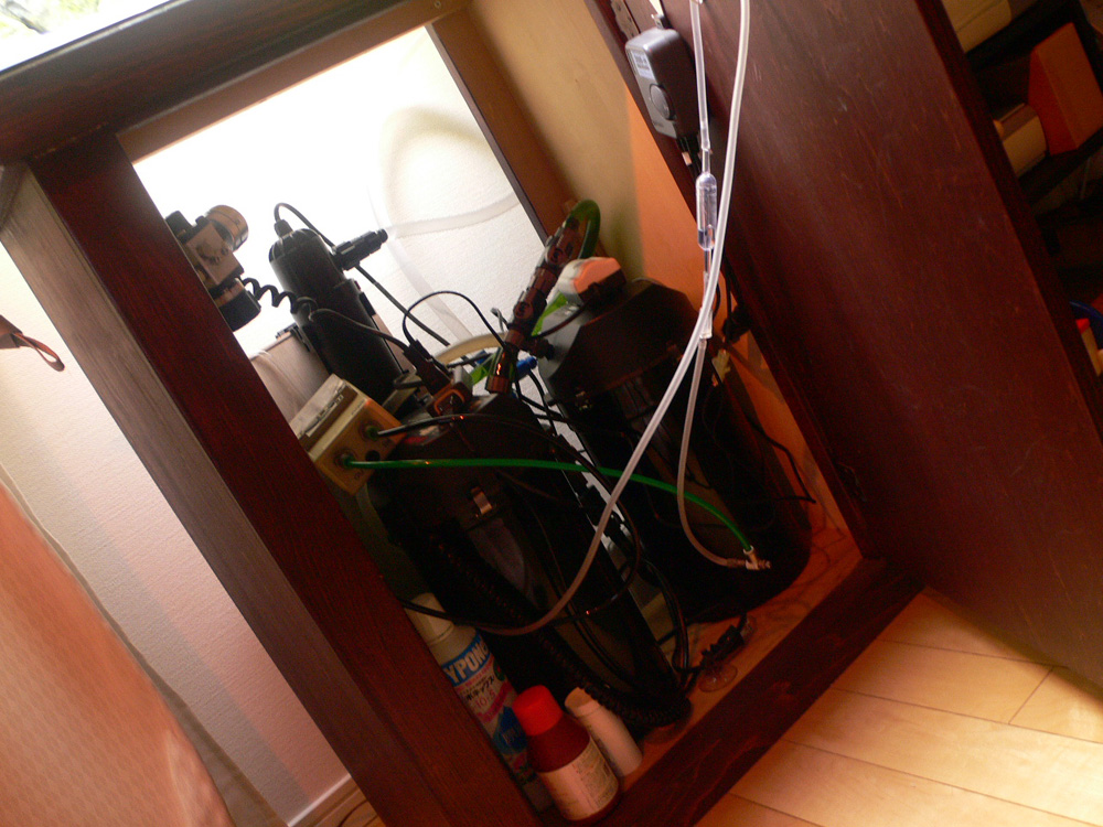 d0042049_0135139.jpg