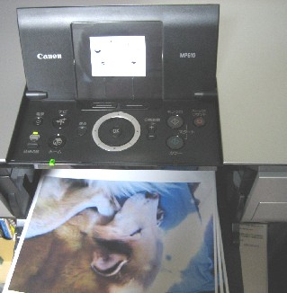 e0047949_042132.jpg