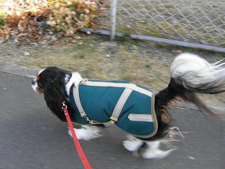 c0145250_12484986.jpg