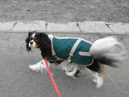 c0145250_12492023.jpg