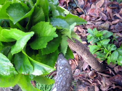 c0147952_2302559.jpg