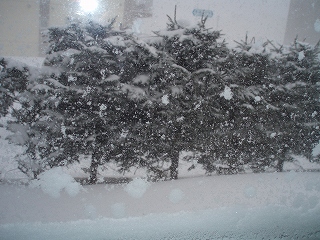 e0004756_2058876.jpg