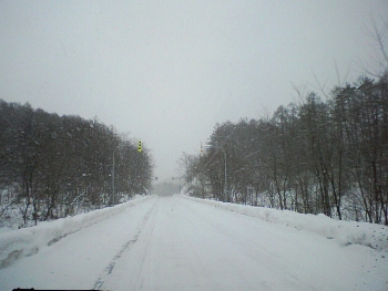 a0004359_2324122.jpg