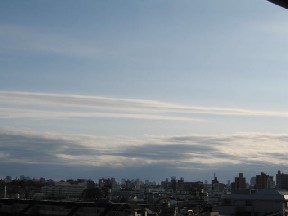 d0034659_187446.jpg