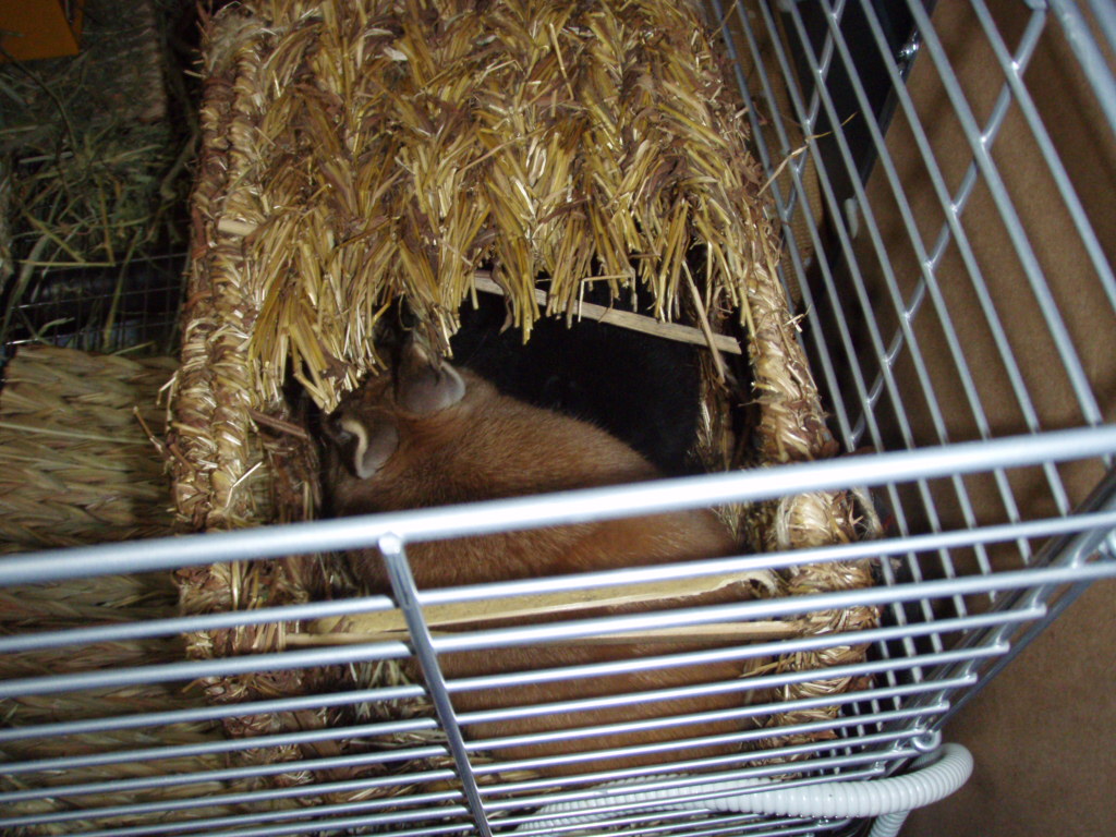 c0002967_2155323.jpg