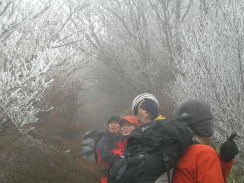 c0042869_20355831.jpg