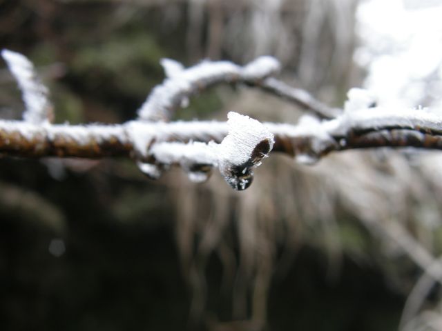 c0042869_20444816.jpg