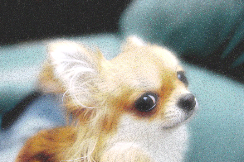 c0026870_2124734.jpg