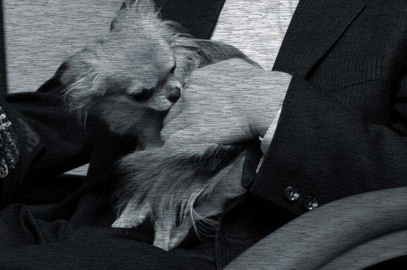 c0026870_2133357.jpg