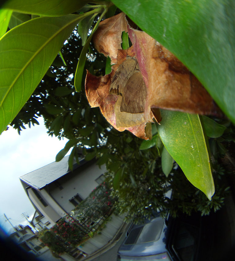 f0090680_22563035.jpg