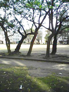 a0078589_17113396.jpg