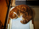 c0130389_2325969.jpg