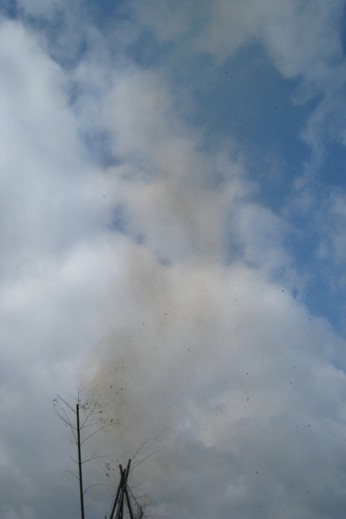 f0105592_22383410.jpg