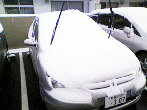 a0050802_23532.jpg