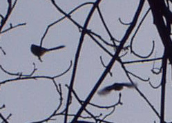 a0060003_810528.jpg