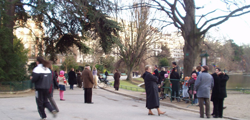 a0060003_818368.jpg