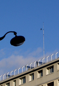 a0060003_824344.jpg