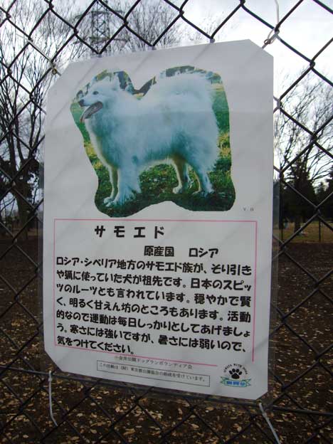 e0018604_17375942.jpg