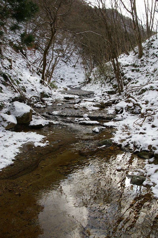b0050305_22374875.jpg
