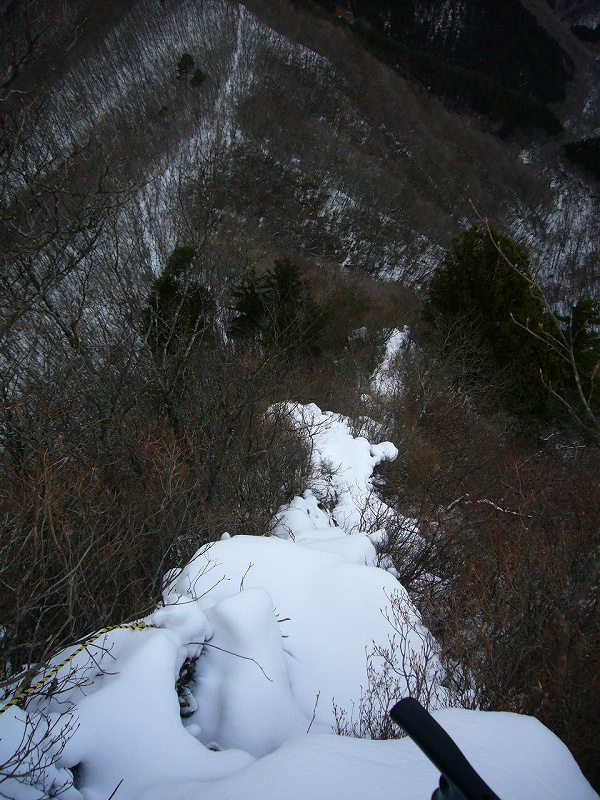 b0050305_2254338.jpg
