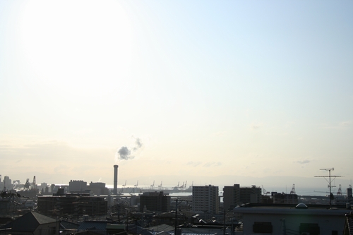 d0131006_2324332.jpg