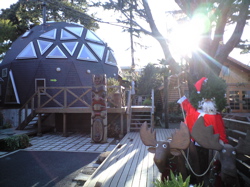 f0006509_23353512.jpg