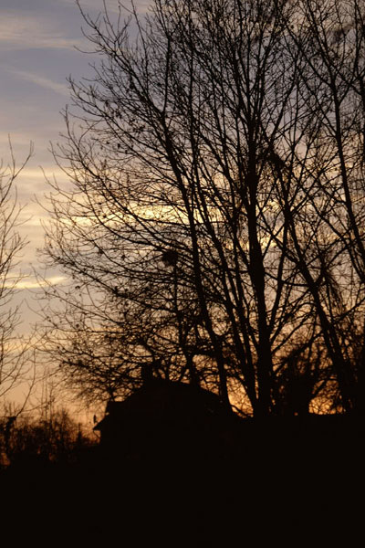 d0022811_19591832.jpg