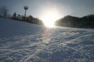 f0142717_23173637.jpg