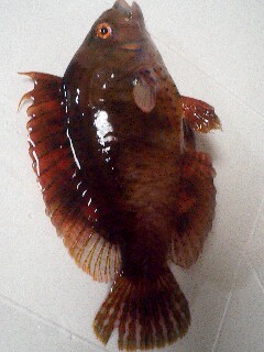 e0002927_20234847.jpg