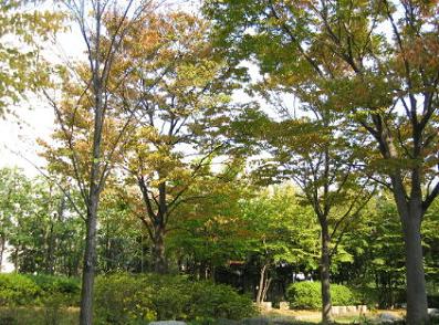 f0054428_17405310.jpg