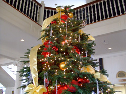 a0016029_2156408.jpg