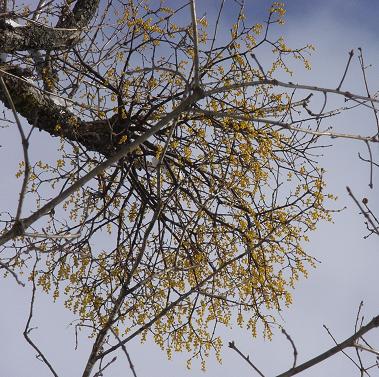 f0118332_20111796.jpg