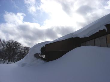 f0118332_2061638.jpg